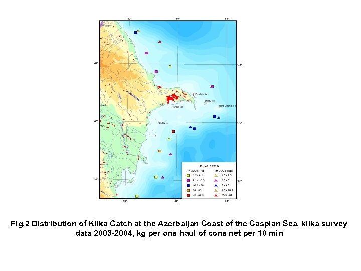 Fig. 2 Distribution of Kilka Catch at the Azerbaijan Coast of the Caspian Sea,
