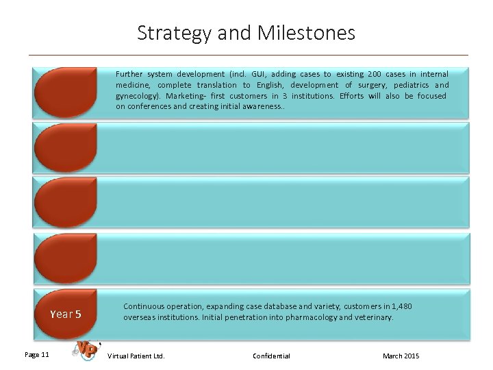 Strategy and Milestones Year 1 Year 2 Increased marketing efforts, including primary publications in