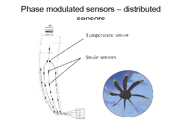 Phase modulated sensors – distributed sensors 