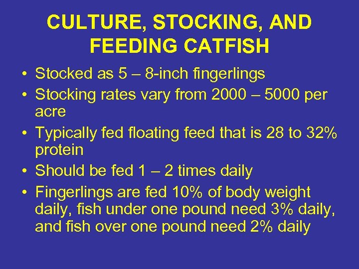 CULTURE, STOCKING, AND FEEDING CATFISH • Stocked as 5 – 8 -inch fingerlings •