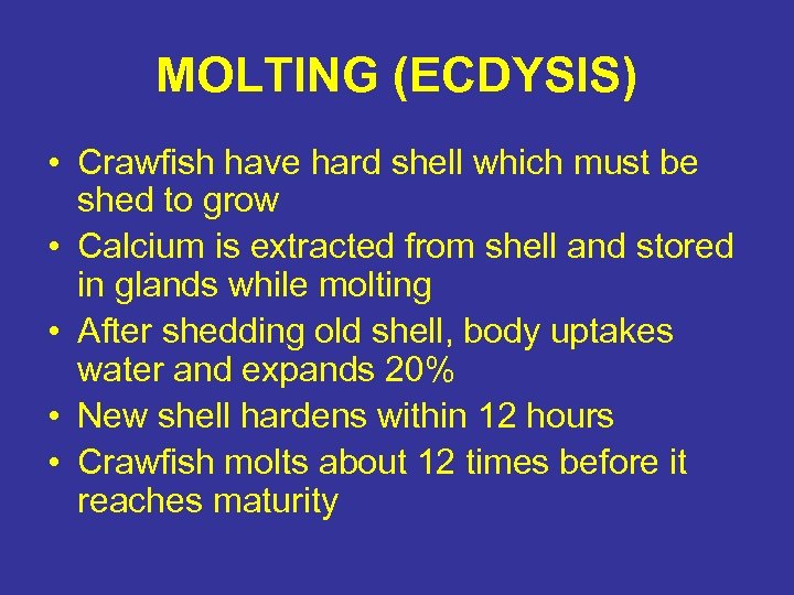 MOLTING (ECDYSIS) • Crawfish have hard shell which must be shed to grow •
