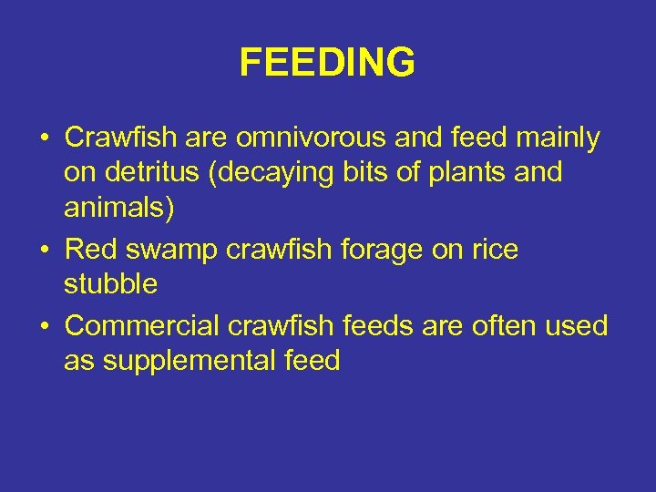 FEEDING • Crawfish are omnivorous and feed mainly on detritus (decaying bits of plants