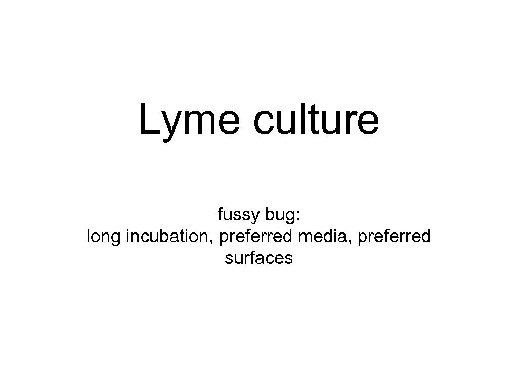 Lyme culture fussy bug: long incubation, preferred media, preferred surfaces 