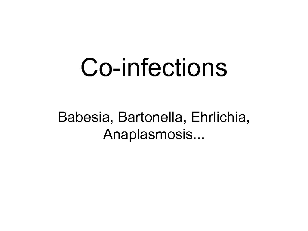 Co-infections Babesia, Bartonella, Ehrlichia, Anaplasmosis. . . 