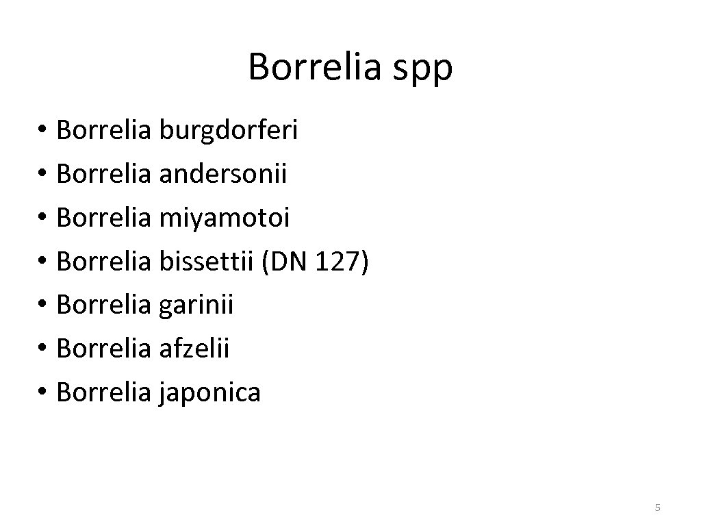 Borrelia spp • Borrelia burgdorferi • Borrelia andersonii • Borrelia miyamotoi • Borrelia bissettii