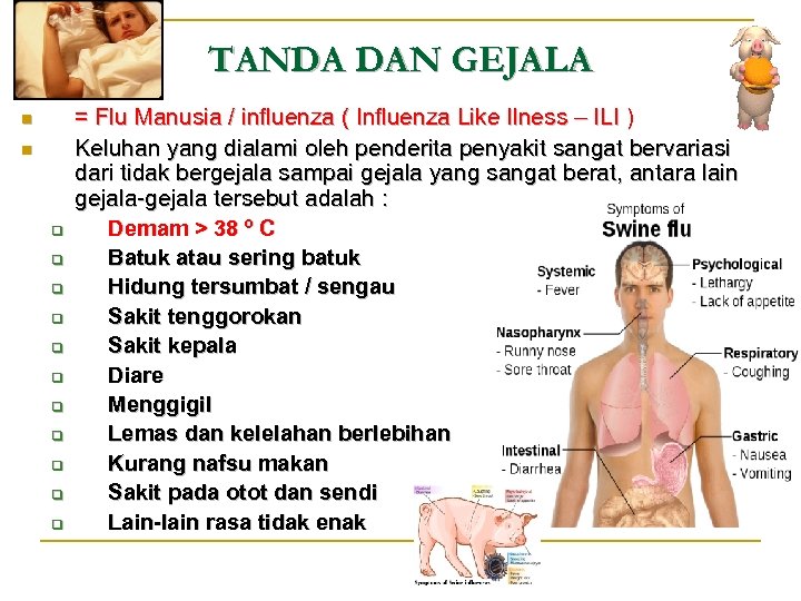 TANDA DAN GEJALA n n q q q = Flu Manusia / influenza (
