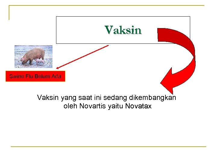 Vaksin Swine Flu Belum Ada Vaksin yang saat ini sedang dikembangkan oleh Novartis yaitu