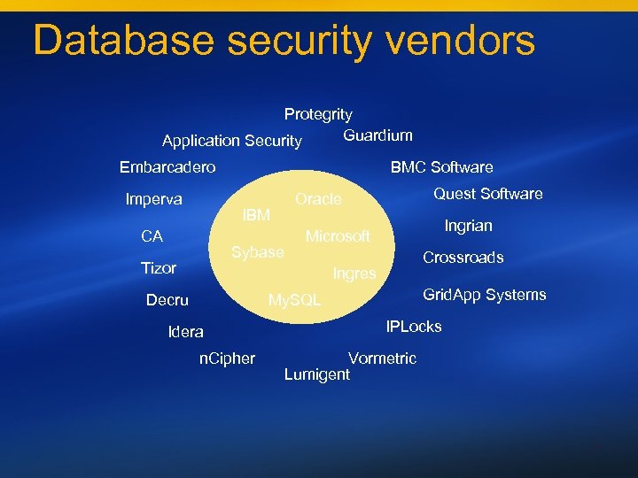 Database security vendors Protegrity Guardium Application Security Embarcadero Imperva BMC Software IBM CA Sybase