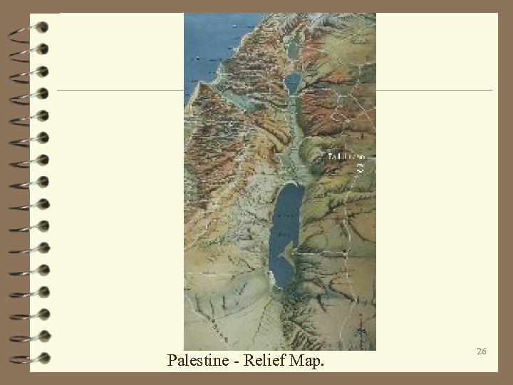 Palestine - Relief Map. 26 