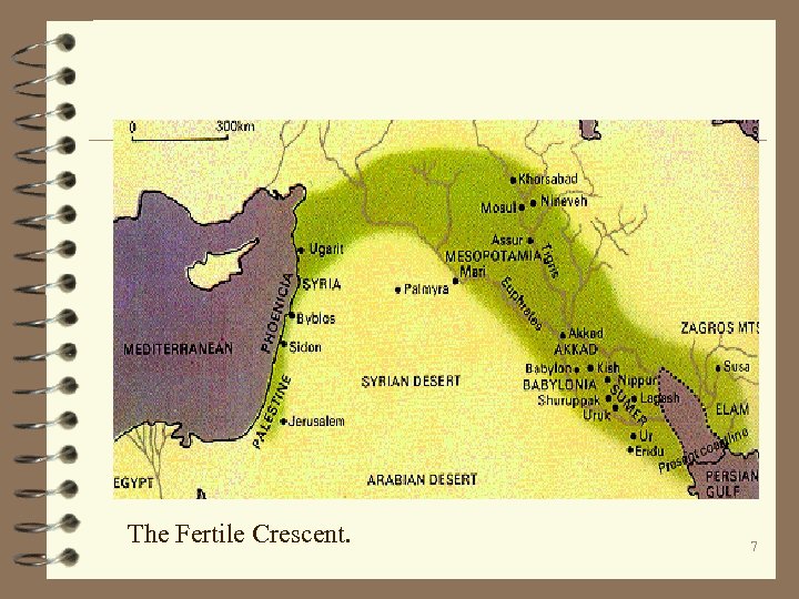 The Fertile Crescent. 7 