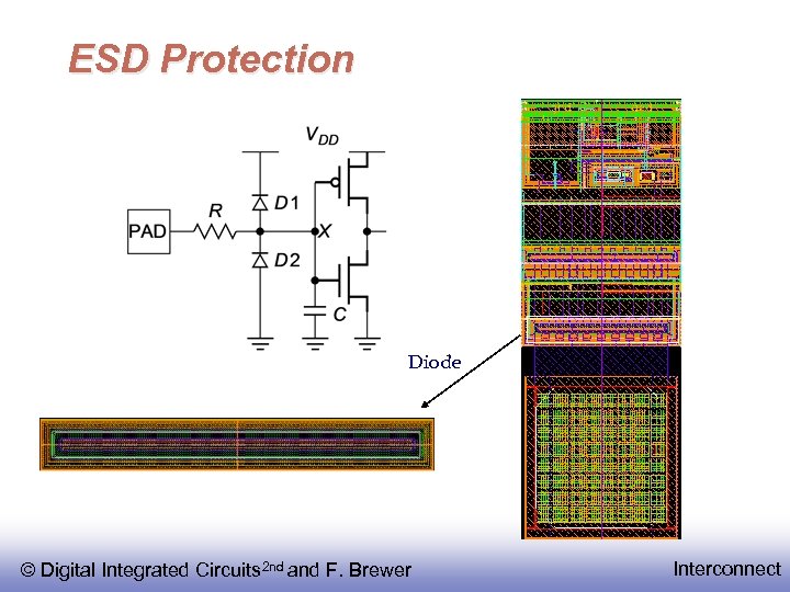 ESD Protection Diode © Digital Integrated Circuits 2 nd and F. Brewer Interconnect 