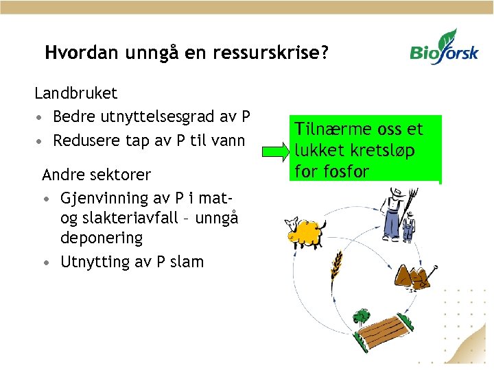 Hvordan unngå en ressurskrise? Landbruket • Bedre utnyttelsesgrad av P • Redusere tap av