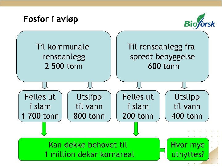 Fosfor i avløp Til kommunale renseanlegg 2 500 tonn Felles ut i slam 1