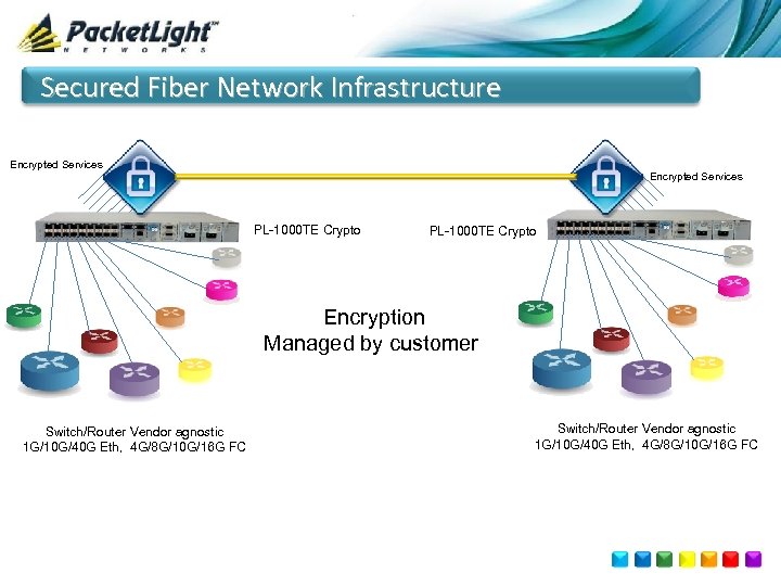 Secured Fiber Network Infrastructure Encrypted Services PL-1000 TE Crypto Encryption Managed by customer Switch/Router