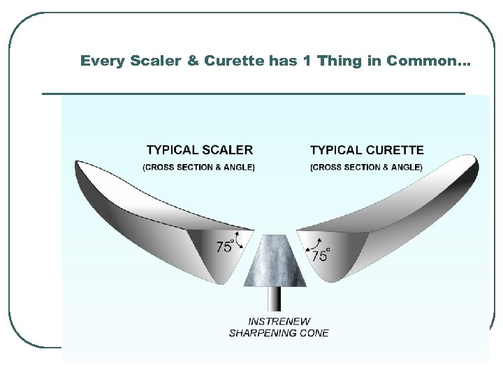 Every Scaler & Curette has 1 Thing in Common… 16 