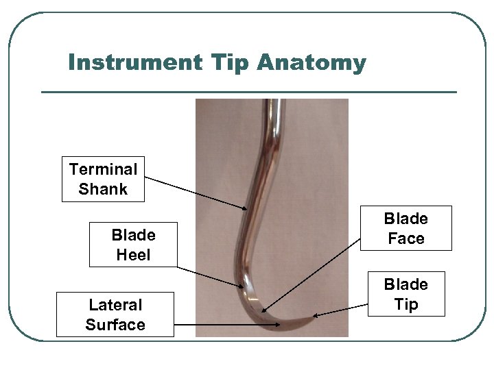 Instrument Tip Anatomy Terminal Shank Blade Heel Lateral Surface Blade Face Blade Tip 