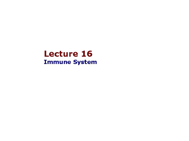 Lecture 16 Immune System 