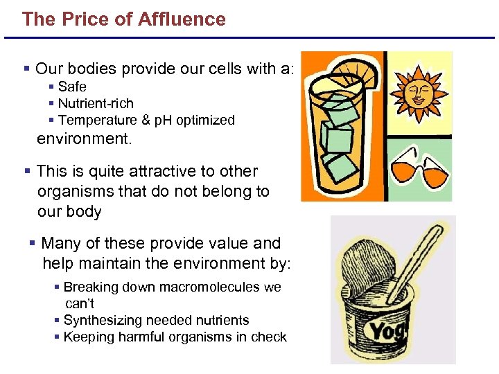 The Price of Affluence § Our bodies provide our cells with a: § Safe