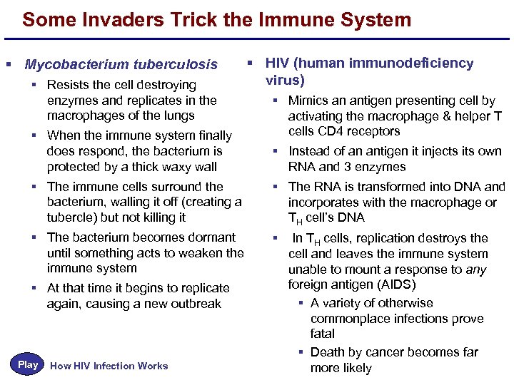 Some Invaders Trick the Immune System § Mycobacterium tuberculosis § Resists the cell destroying