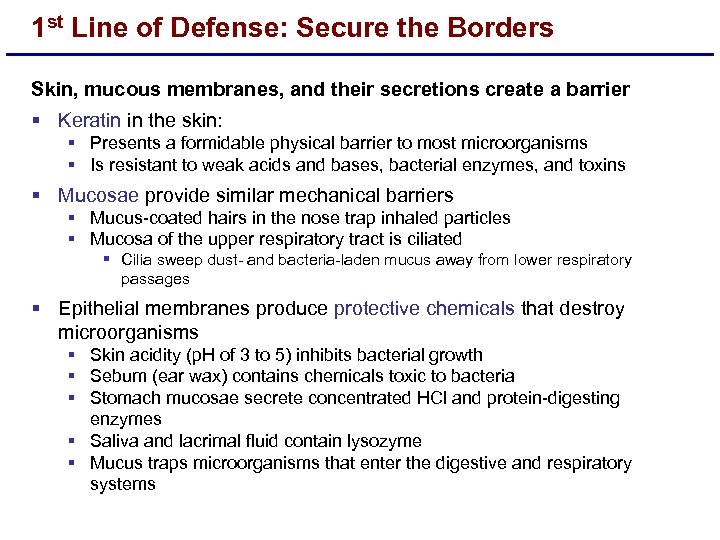 1 st Line of Defense: Secure the Borders Skin, mucous membranes, and their secretions