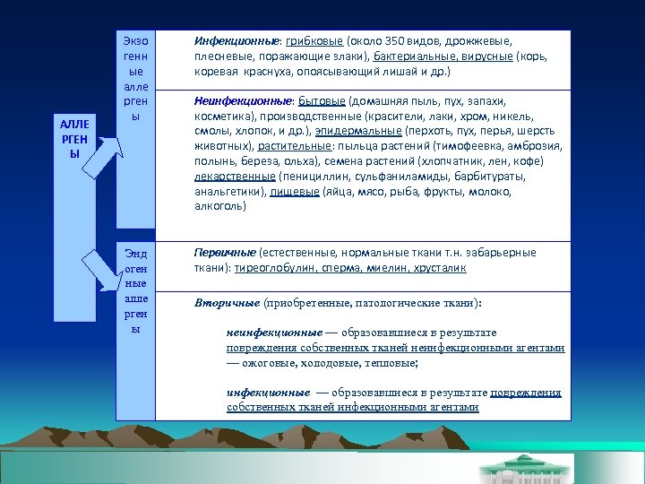 АЛЛЕ РГЕН Ы Экзо генн ые алле рген ы Инфекционные: грибковые (около 350 видов,