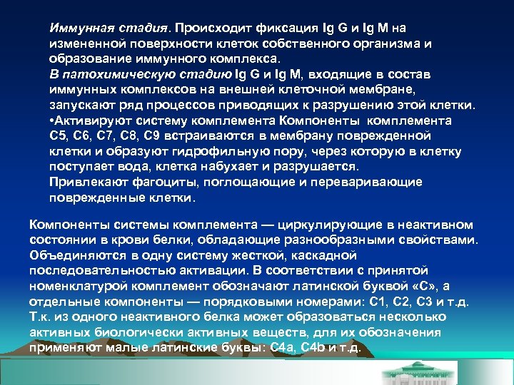 Иммунная стадия. Происходит фиксация Ig G и Ig М на измененной поверхности клеток собственного