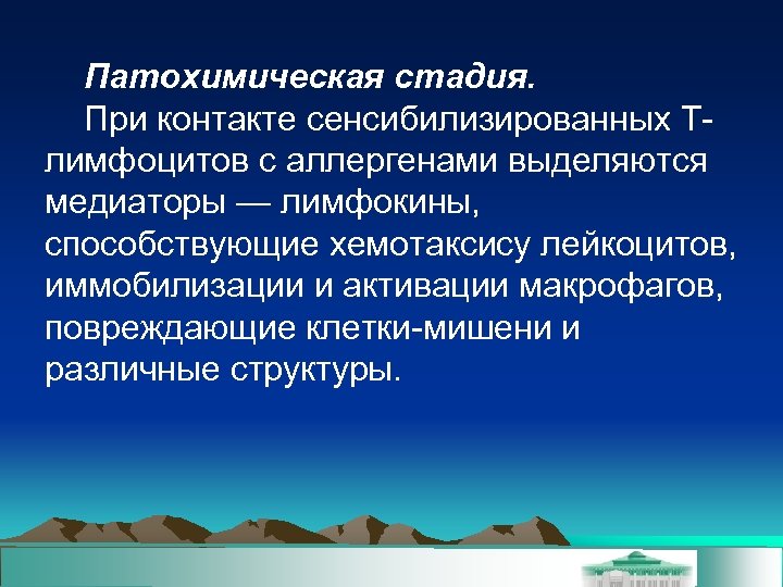 Патохимическая стадия. При контакте сенсибилизированных Тлимфоцитов с аллергенами выделяются медиаторы — лимфокины, способствующие хемотаксису