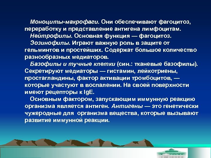 Моноциты-макрофаги. Они обеспечивают фагоцитоз, переработку и представление антигена лимфоцитам. Нейтрофилы. Основная функция — фагоцитоз.