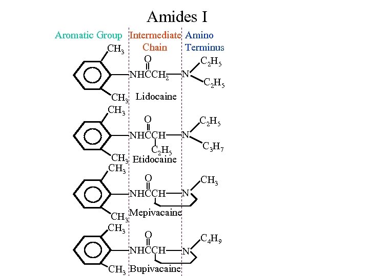 Amides I Aromatic Group Intermediate Amino Chain Terminus CH 3 O C 2 H