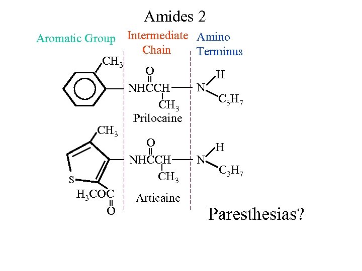 Amides 2 Aromatic Group Intermediate Amino Chain Terminus CH 3 O H N NHCCH