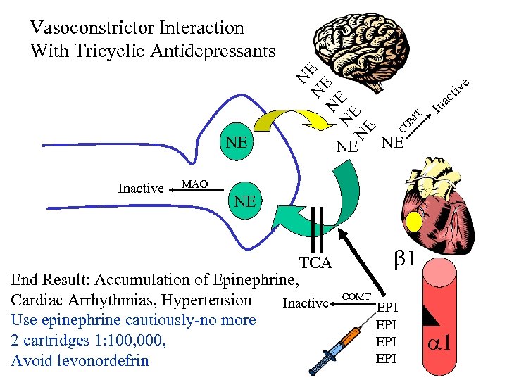 Inactive NE e tiv c a CO M T NE N N E N