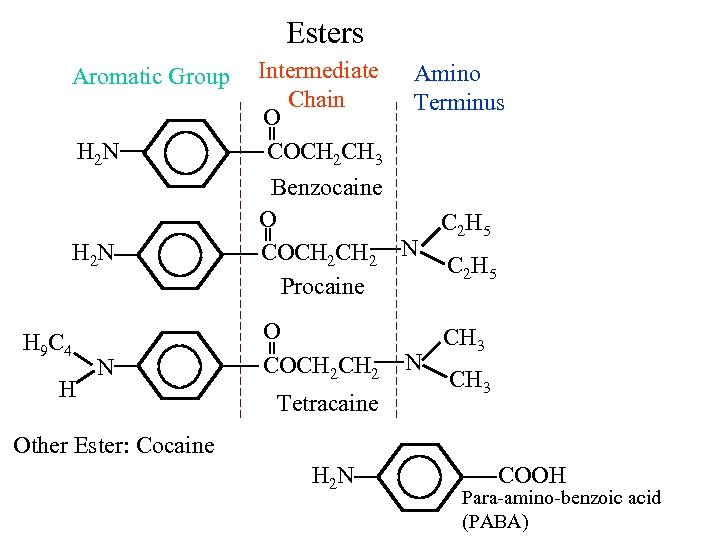 Esters Aromatic Group H 2 N H 9 C 4 H N Intermediate Amino