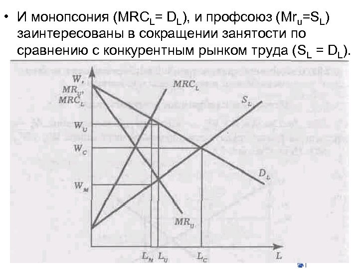  • И монопсония (MRCL= DL), и профсоюз (Mru=SL) заинтересованы в сокращении занятости по