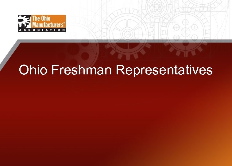 Ohio Freshman Representatives 