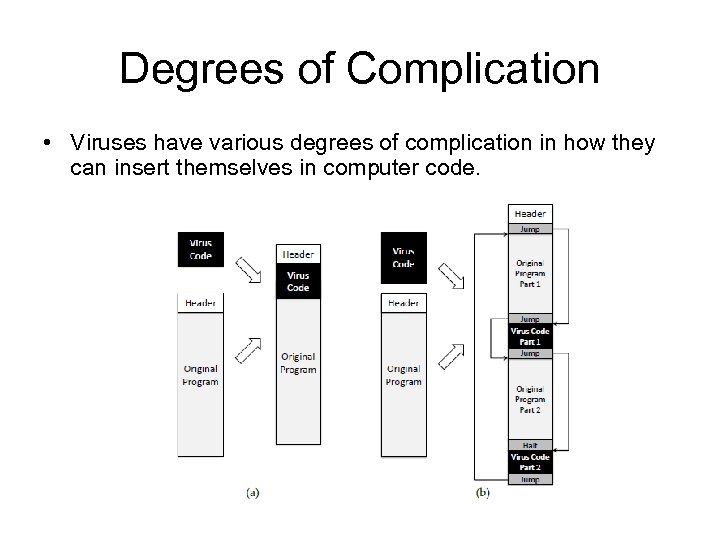 Degrees of Complication • Viruses have various degrees of complication in how they can