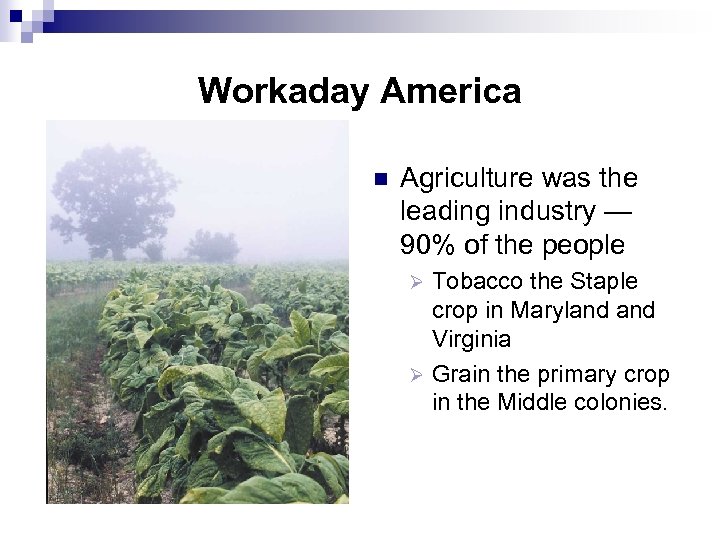 Workaday America n Agriculture was the leading industry — 90% of the people Tobacco