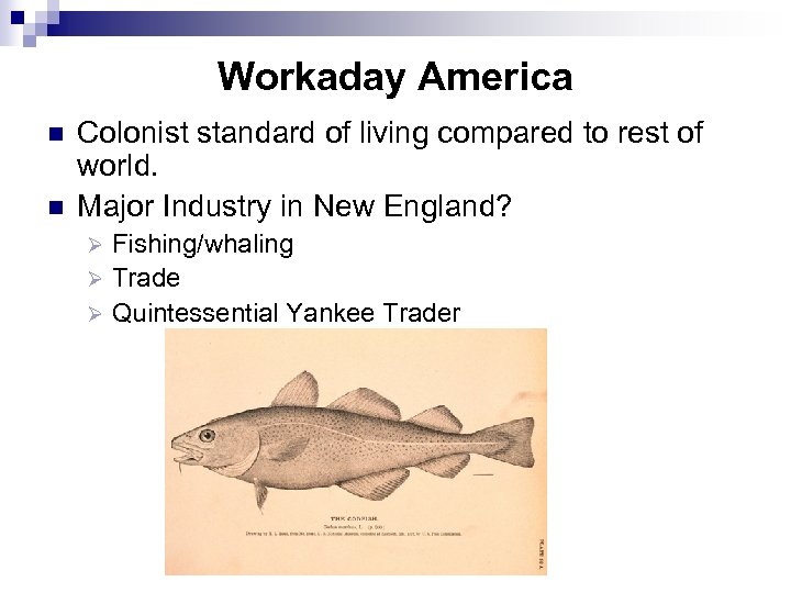 Workaday America n n Colonist standard of living compared to rest of world. Major