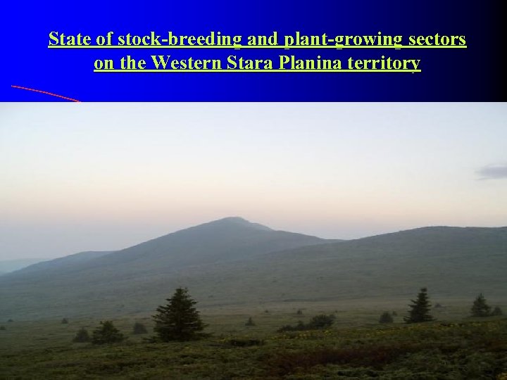 State of stock-breeding and plant-growing sectors on the Western Stara Planina territory 