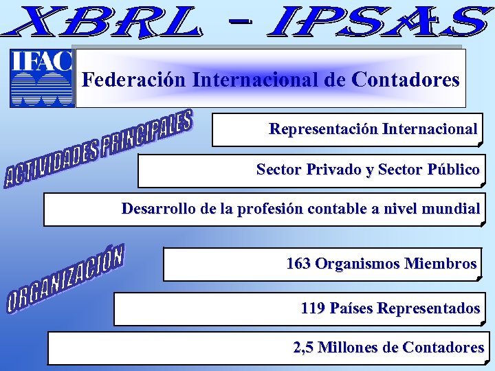Federación Internacional de Contadores Representación Internacional Sector Privado y Sector Público Desarrollo de la