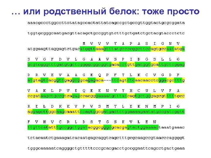 … или родственный белок: тоже просто 