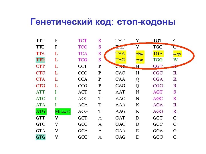 Стоп код