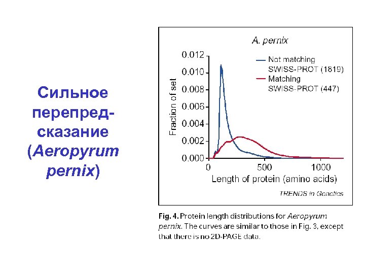 Сильное перепредсказание (Aeropyrum pernix) 