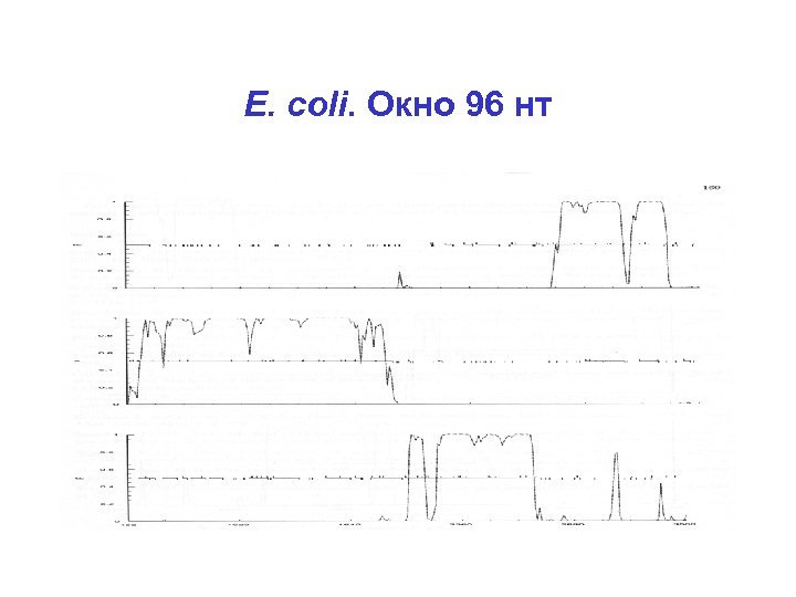 E. coli. Окно 96 нт 