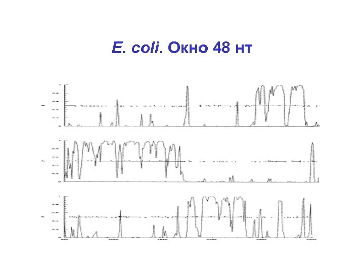 E. coli. Окно 48 нт 