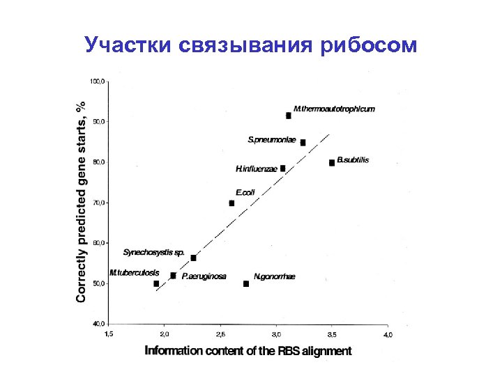 Участки связывания рибосом 