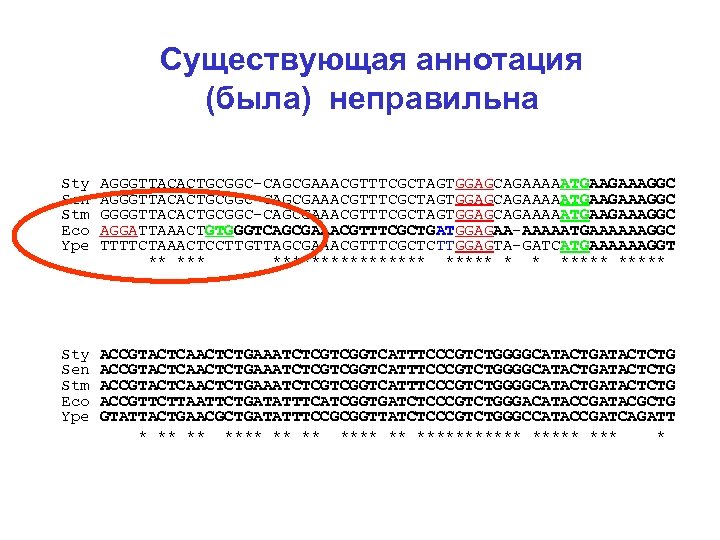Существующая аннотация (была) неправильна Sty AGGGTTACACTGCGGC-CAGCGAAACGTTTCGCTAGTGGAGCAGAAAAATGAAGAAAGGC Sen AGGGTTACACTGCGGC-CAGCGAAACGTTTCGCTAGTGGAGCAGAAAAATGAAGAAAGGC Stm GGGGTTACACTGCGGC-CAGCGAAACGTTTCGCTAGTGGAGCAGAAAAATGAAGAAAGGC Eco AGGATTAAACTGTGGGTCAGCGAAACGTTTCGCTGATGGAGAA-AAAAATGAAAAAAGGC Ype TTTTCTAAACTCCTTGTTAGCGAAACGTTTCGCTCTTGGAGTA-GATCATGAAAAAAGGT