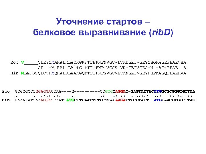 Уточнение стартов – белковое выравнивание (rib. D) Eco V_____QDEYYMARALKLAQRGRFTTHPNPNVGCVIVKDGEIVGEGYHQRAGEPHAEVHA QD +M RAL LA +G
