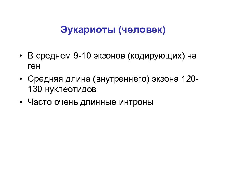 Эукариоты (человек) • В среднем 9 -10 экзонов (кодирующих) на ген • Средняя длина
