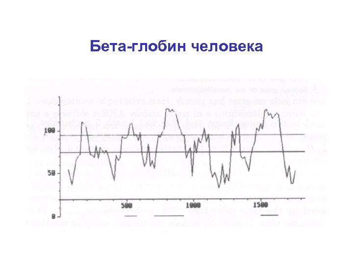 Бета-глобин человека 