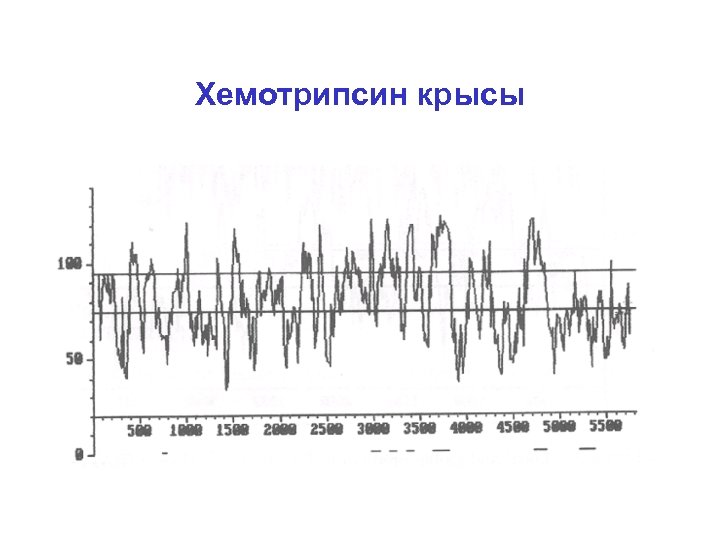 Хемотрипсин крысы 